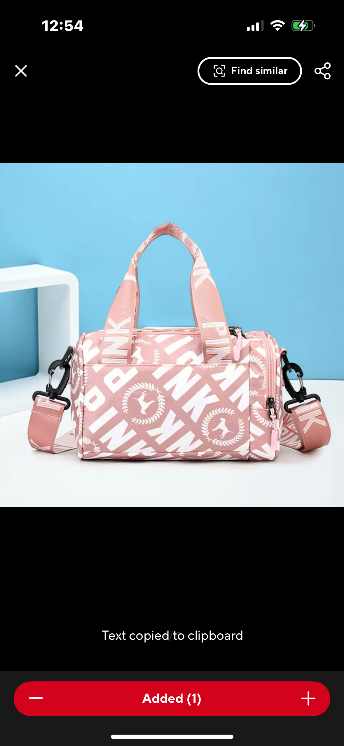 “Pink” gym bag